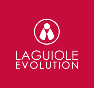 Couteaux Laguiole Evolution