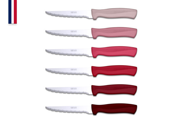 6 couteaux à steak Record rouges, lame 11 cm acier inox trempé - Made in France