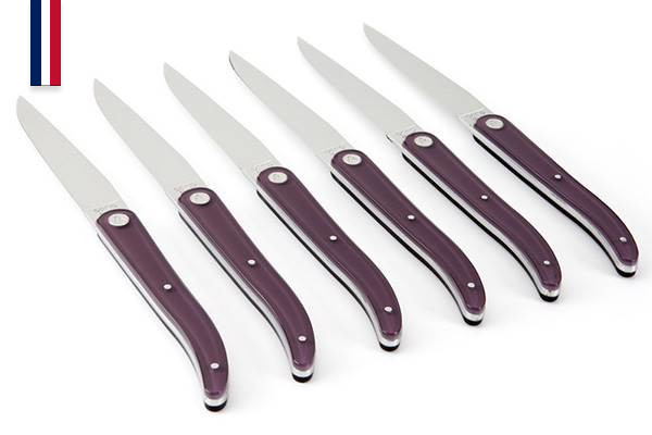 Coffret de 6 couteaux de table Laguiole Evolution Sens 11 cm – Made in France