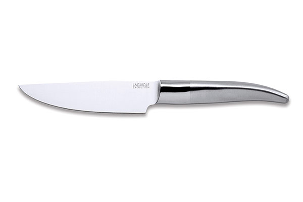 Couteau de cuisine Laguiole Expression 16 cm manche métal – Coutellerie TB